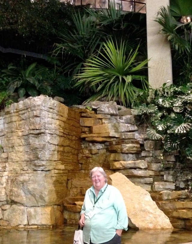 The waterfall level of the lobby in the Westin
